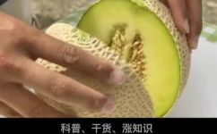 东方蜜瓜属于什么性质水果(揭秘东方蜜瓜的品种及营养价值，了解它与其他水果的区别)