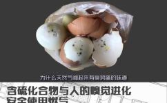 天然气是什么味道(探秘天然气的气味特征与安全问题)