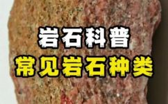 十种常见的岩石(精选推荐了解这十种常见的岩石，不再愁岩石辨识)