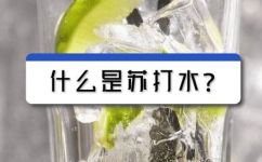 苏打水有哪几种(揭秘苏打水的种类及其作用：全面了解苏打水!)