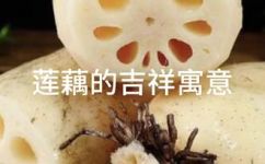 莲藕的寓意(莲藕的寓意解析：丰富多彩的文化底蕴)