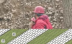 变质岩有哪些(深入研究：变质岩的种类及特点)
