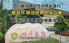 四川能投总共几个分公司(四川能投有几个分公司？全面解析)
