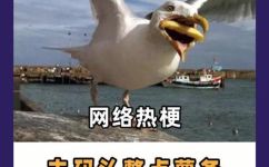 去码头整点薯条啥梗是什么意思(解读去码头品尝整点薯条，了解啥梗的意思)