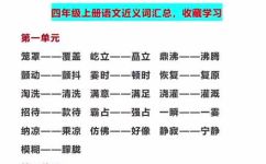 奇丽的近义词是什么(近义词查询：发掘奇妙的同义词)