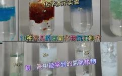 化学里常见的几种沉淀(化学实验中常见的几种沉淀及其特点)