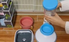 狗狗的必备用品(狗狗必备用品推荐：如何选购适合你家爱宠的配件？)