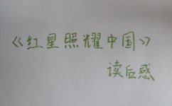 闪闪的红星主要内容简介(闪闪发光的红星详解其主要特征和魅力)
