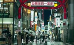 日本的风俗店是指什么(日本风俗店到底是什么？揭开神秘的面纱)