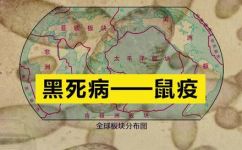 黑死病是什么意思(了解黑死病的定义及历史背景)