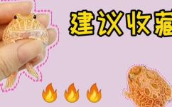 幼年角蛙吃什么(幼年角蛙的饮食详解幼年角蛙食物种类与喂养技巧)