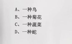 戴菊是什么(戴菊到底是什么？解析戴菊的来历作用和使用方法)