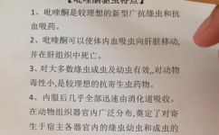 吡喹酮怎么读的简介(详解吡喹酮读音，简明易懂的发音方法)