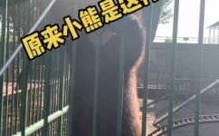 小熊的叫声是怎么叫的(小熊的叫声是如何产生的？ )