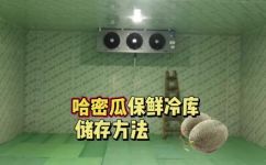 哈密瓜保存方法(哈密瓜保鲜技巧大揭秘如何科学储存，让口感更佳？)