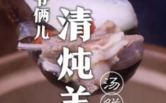 清炖羊排骨的做法大全(酥烤脆皮嫩汁清炖羊排骨，让你一次性get全套秘籍)