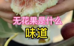 无花果什么味道(无花果的味道到底是什么？)