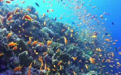 海底两万里主人公是谁(海底两万里：揭秘主人公身份)