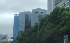 人间至味是清欢是什么意思(揭秘人间至味是清欢的真正含义)