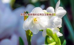 发生质壁分离需要哪些条件(如何避免质壁分离的发生？必要条件及措施)
