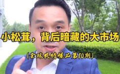 松茸生长在什么地方(松茸生长的地方是哪里？揭秘松茸的生长环境)