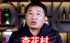 杏花村在哪杏花村资料(实用指南杏花村资料及位置查询)