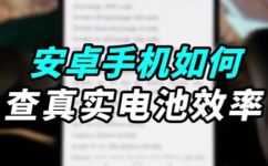 电池效率怎么看(如何评估电池效率 )