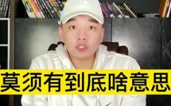 莫须有的罪名是什么意思和解释(莫须有的罪名是什么？含义及详解)