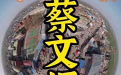蔡琰在三国中是什么国的(蔡琰在三国中属于哪个国家？)