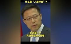 人质外交是什么意思(深入了解人质外交的定义和应用场景)