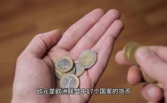 欧元是哪个国家的货币(欧元货币的发行国家是哪些？)
