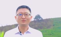 毛尖产地在什么地方(毛尖产自何处？探究毛尖茶的产地。)