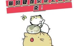 猫弓背什么意思(揭秘猫弓背的意义与治疗方法)