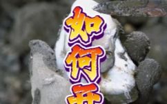 带壳生蚝正确打开方法(海鲜美食带壳生蚝开启技巧分享，全面教你正确的打开方法)