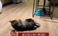 什么是虚岁年龄(如何计算虚岁年龄？)