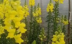 38码鞋是多少厘米(38码鞋尺码对应多少厘米？  理解鞋码换算方法)