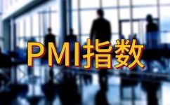 pmi什么意思(了解PMI：项目管理中的重要工具与概念)