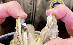生蚝放冰箱能放多久(生蚝保存时间：冰箱里能放多久？)