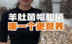 羊肚菌的柄有营养价值吗(羊肚菌柄的营养价值：探秘羊肚菌柄的营养成分及其益处)