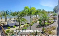 广东那个城市离海最近(广东哪个城市离海最近？旅行攻略推荐)