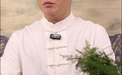 茵字取名的寓意介绍(茵字命名的含义介绍：让你更懂得茵的由来)