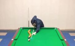 一时强弱在于力下一句(如何通过发力技巧来掌控一时强弱？)