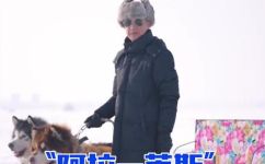 阿拉斯加和哈士奇的区别(阿拉斯加 vs 哈士奇：解析两种狗的区别)