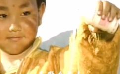小龙人主题曲(小龙人主题曲 )