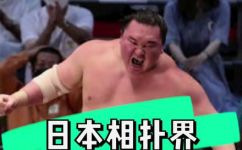 日本相扑横纲是什么意思(揭秘日本相扑横纲：意义何在？)