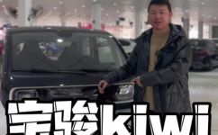 kiwi是什么水果(深入了解Kiwi )