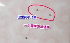 怎么消灭家里的小虫子(如何有效地消灭家中小虫子)