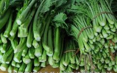 梅菜的做法家常(梅菜的制作方法：如何做家常梅菜)