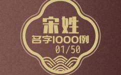 宋姓好听稀少的男孩名字(2021最新精选30个宋姓好听稀少的男孩名字，送给您的宝贝起名参考)