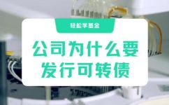 什么是可转债基金(可转债基金解释与优势，让您快速了解)